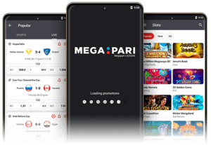 A Detailed Overview of Megapari App
