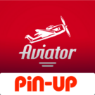 Pin Up Aviator Game